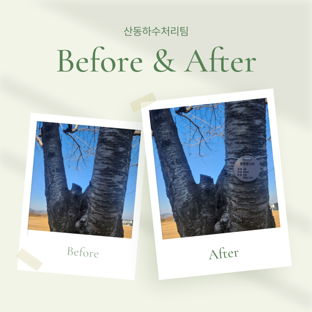 (산동하수처리팀) 수목명칭 표찰 부착 첨부 이미지