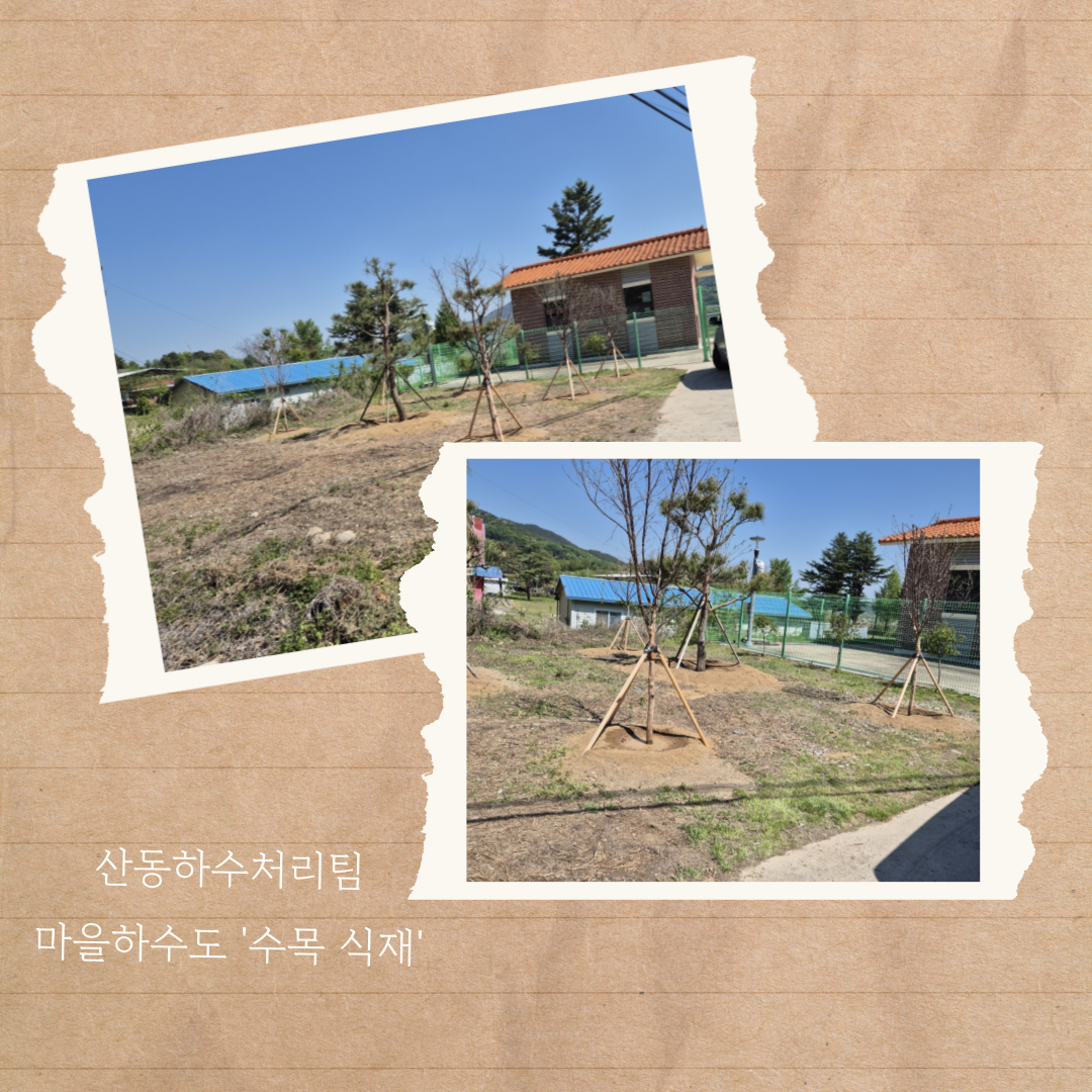 (산동하수처리팀) 마을하수도 수목식재 첨부 이미지
