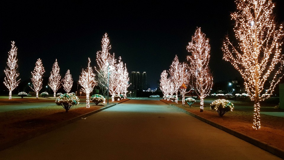 구미캠핑장 경관조명(트리조명) 설치 안내 첨부 이미지